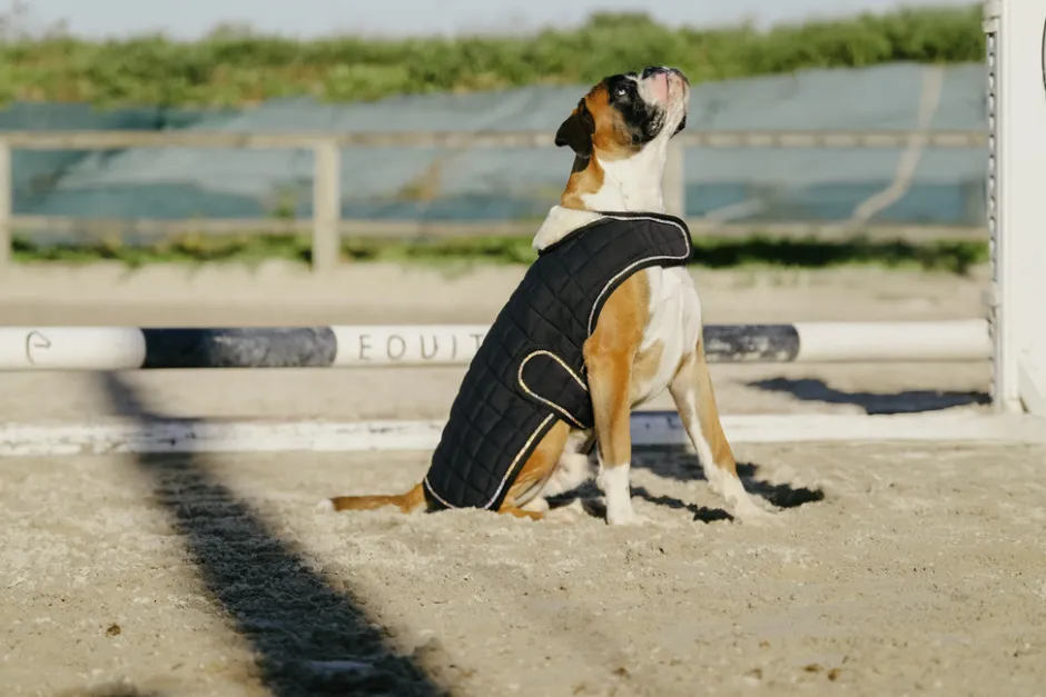 Je taime EQUITHÈME Hundedecke