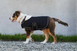 Je taime EQUITHÈME Hundedecke