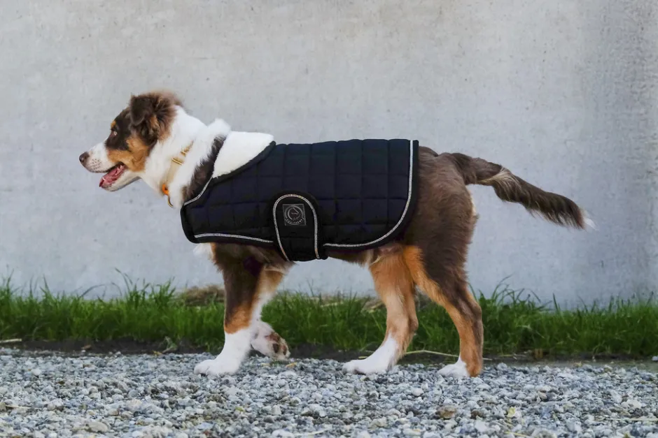 Je taime EQUITHÈME Hundedecke