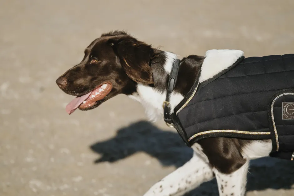 Je taime EQUITHÈME Hundedecke
