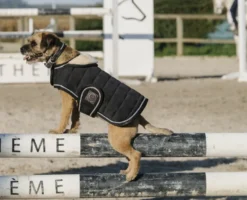 Je taime EQUITHÈME Hundedecke