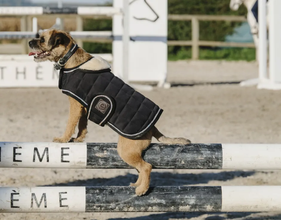 Je taime EQUITHÈME Hundedecke