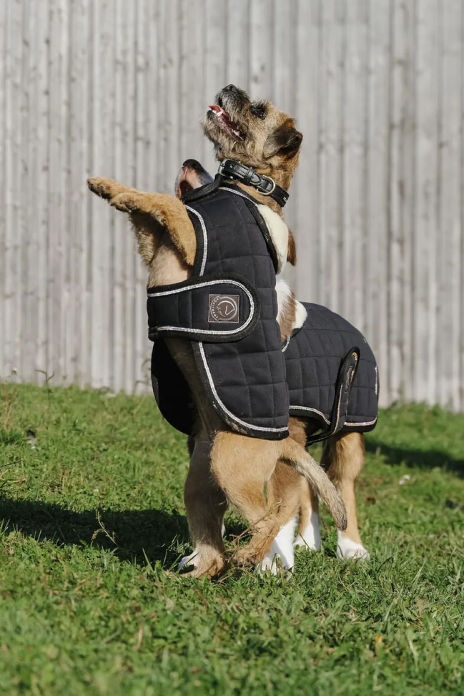 Je taime EQUITHÈME Hundedecke