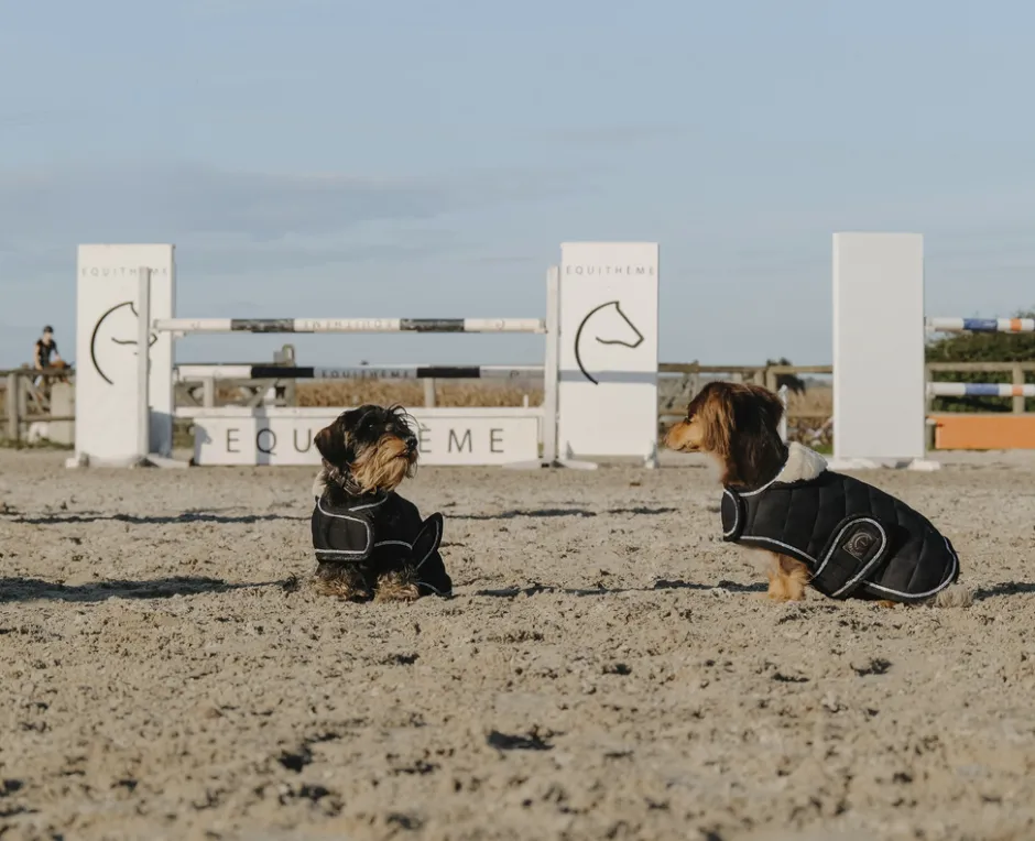 Je taime EQUITHÈME Hundedecke