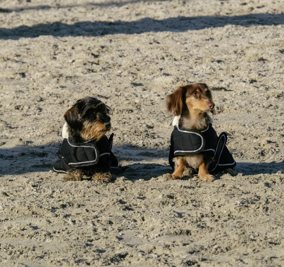 Je taime EQUITHÈME Hundedecke