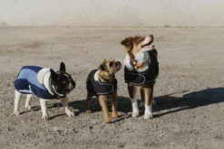 Je taime EQUITHÈME Hundedecke