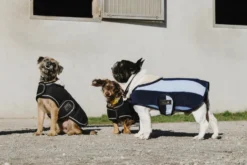 Je taime EQUITHÈME Hundedecke