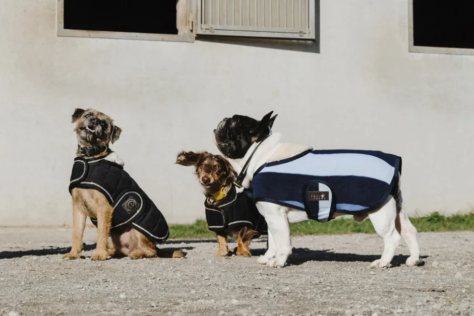 Je taime EQUITHÈME Hundedecke
