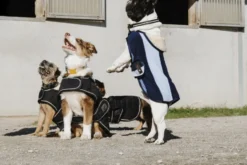 Je taime EQUITHÈME Hundedecke