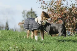 Je taime EQUITHÈME Hundedecke