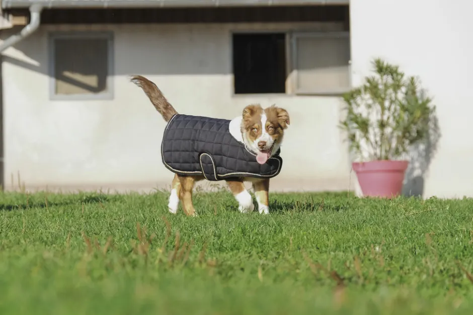 Je taime EQUITHÈME Hundedecke