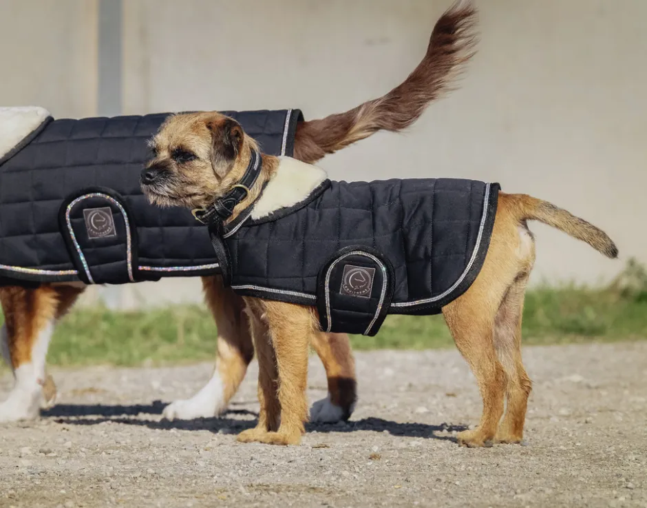 Je taime EQUITHÈME Hundedecke