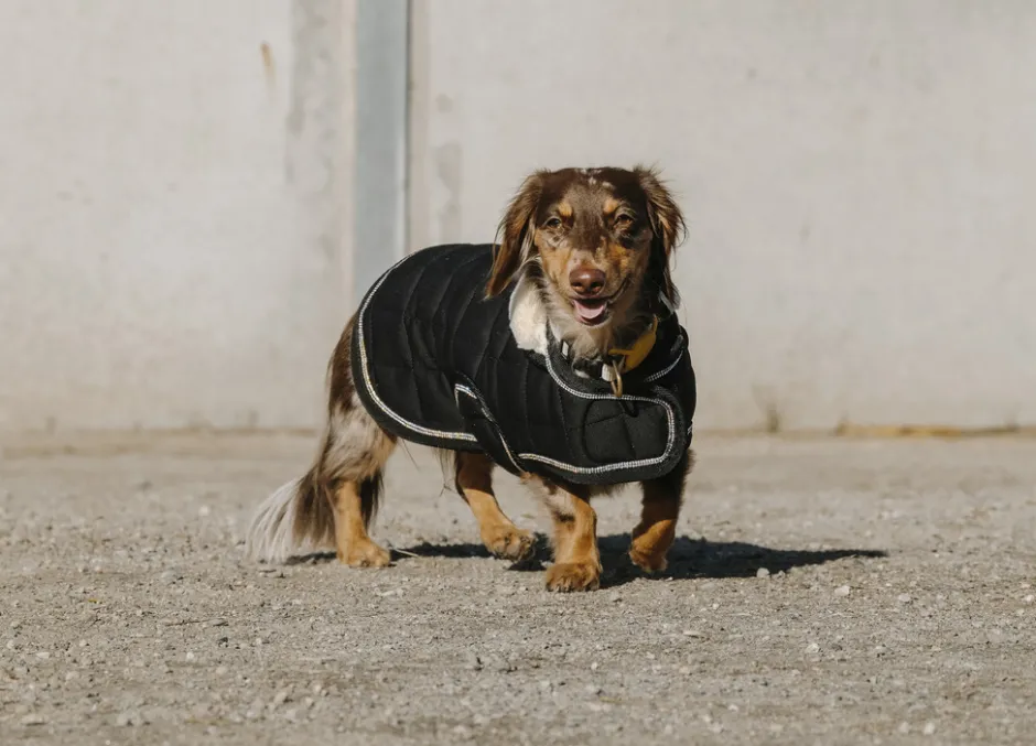 Je taime EQUITHÈME Hundedecke