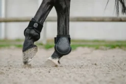 Je taime EQUITHÈME Gamaschen und Streichkappen Set
