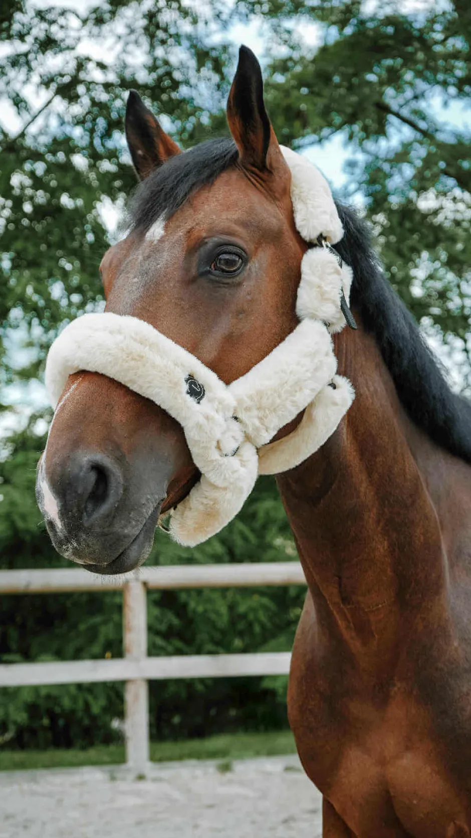 Je taime EQUITHÈME Halfter - Snuggy