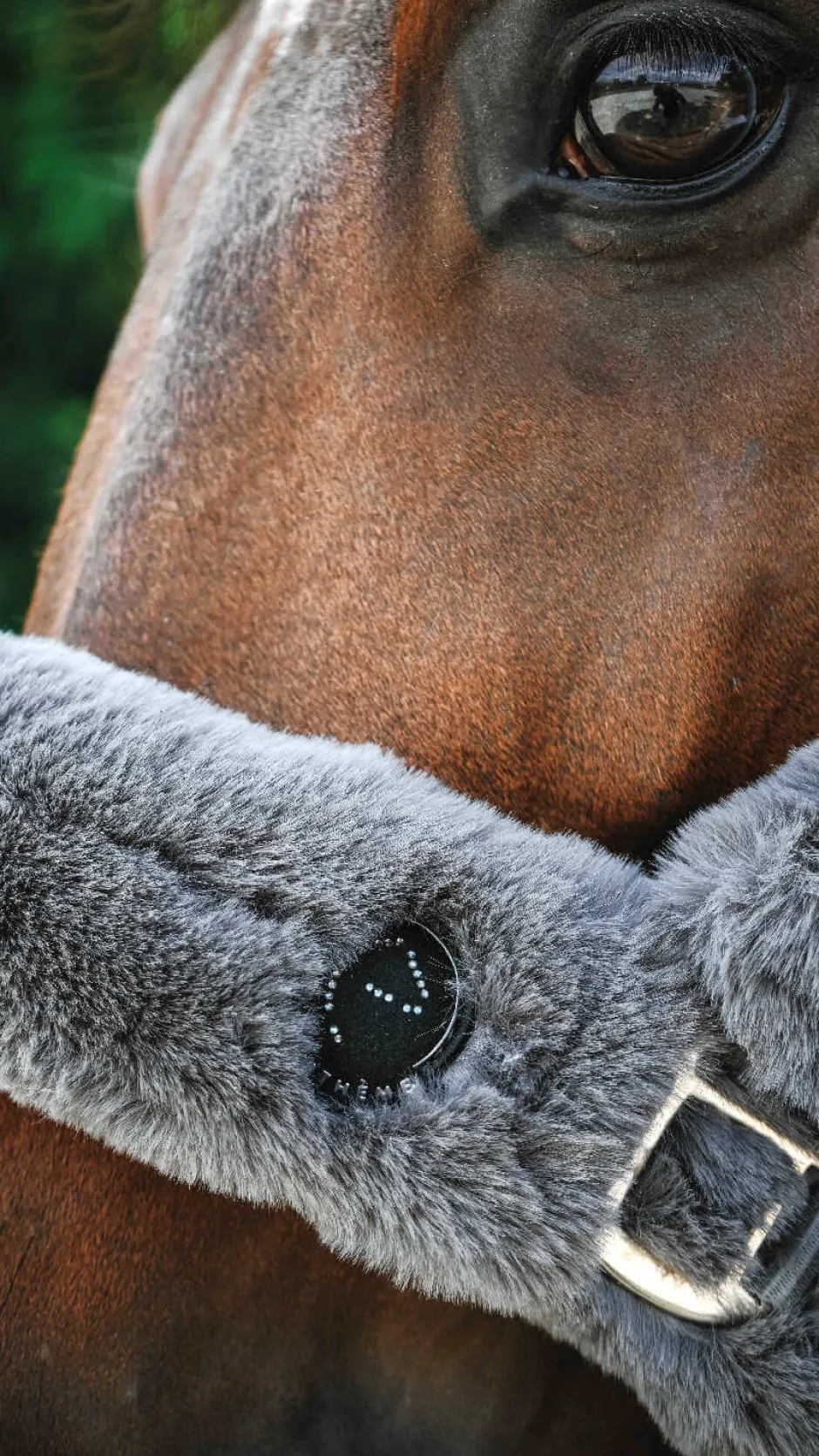 Je taime EQUITHÈME Halfter - Snuggy