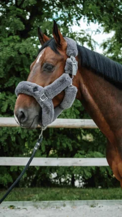 Je taime EQUITHÈME Halfter - Snuggy