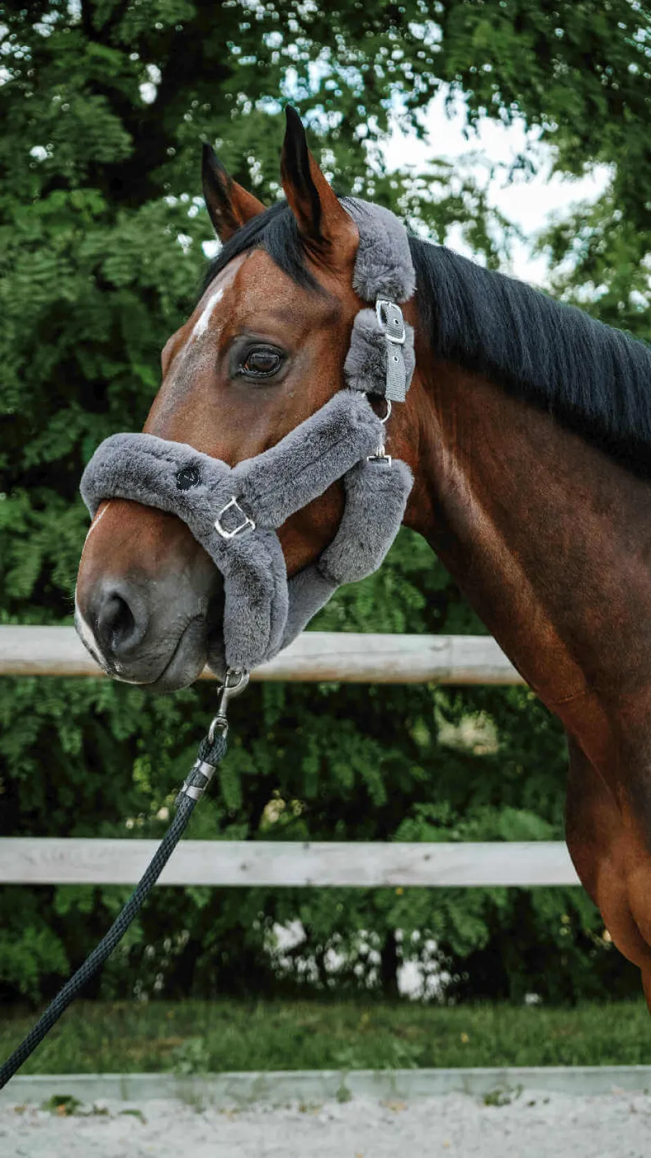 Je taime EQUITHÈME Halfter - Snuggy