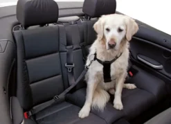 KERBL Autohundegeschirr