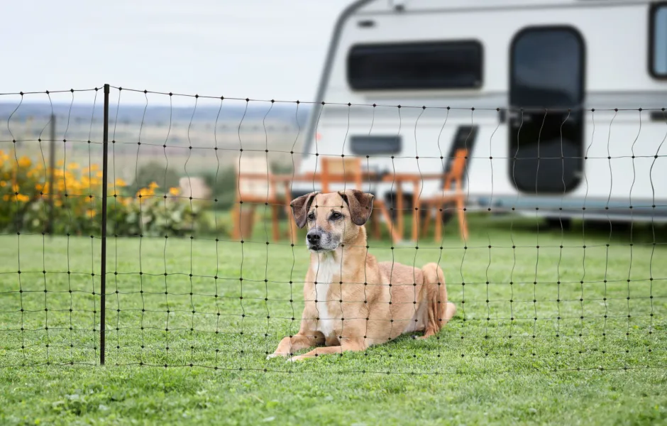 KERBL Begrenzungszaun Camping Net