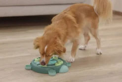 KERBL Denk- und Lernspielzeug Turtle