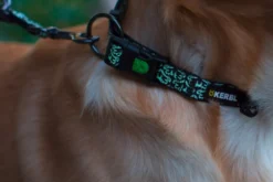 KERBL Halsband Shiny Night