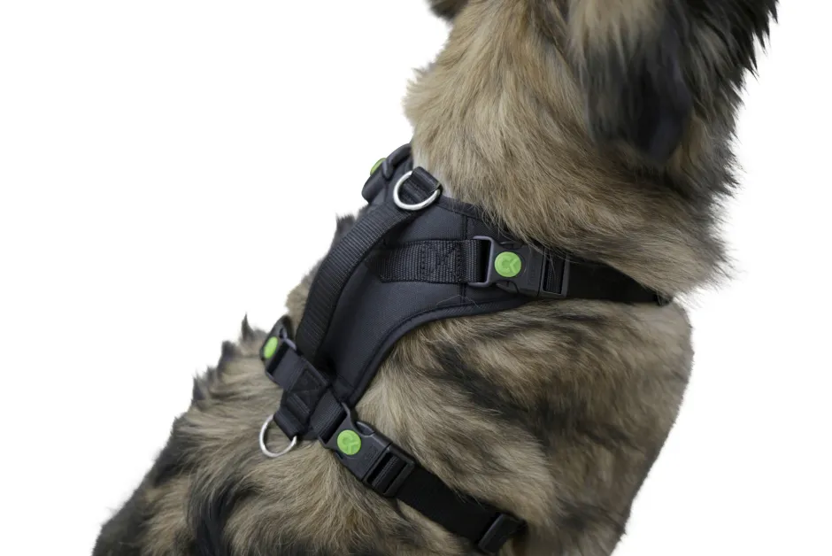 KERBL Hundegeschirr Pulsive