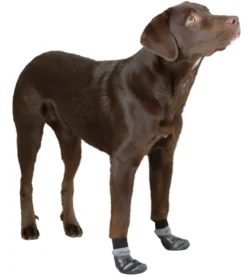 KERBL Hundesocke Susi, 2er-Set