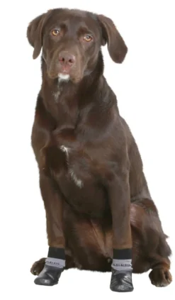 KERBL Hundesocke Susi, 2er-Set