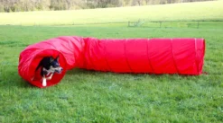 KERBL Hundetunnel Agility