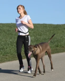 KERBL Joggingleine Active mit Hüftgurt