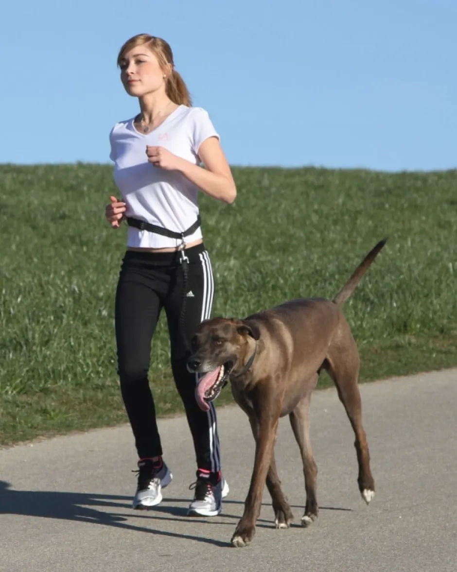 KERBL Joggingleine Active mit Hüftgurt