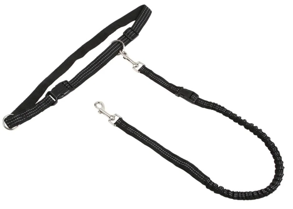 KERBL Joggingleine Active mit Hüftgurt