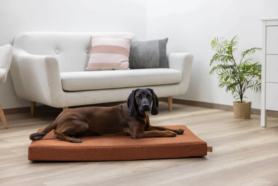 KERBL Memory-Foam Matratze Oliver