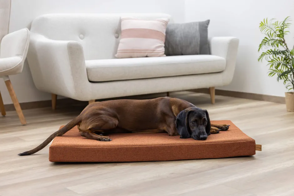 KERBL Memory-Foam Matratze Oliver