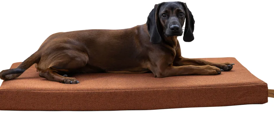 KERBL Memory-Foam Matratze Oliver