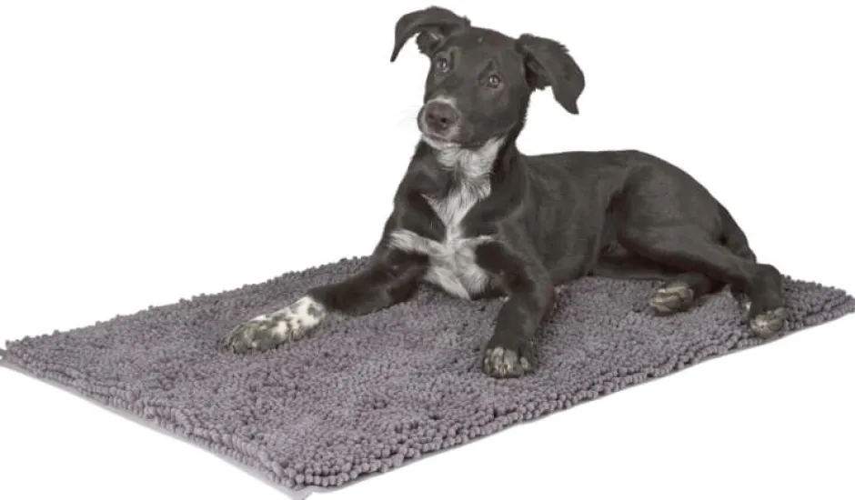 KERBL Schmutzfangmatte SuperBed, 80 x 50 cm, grau