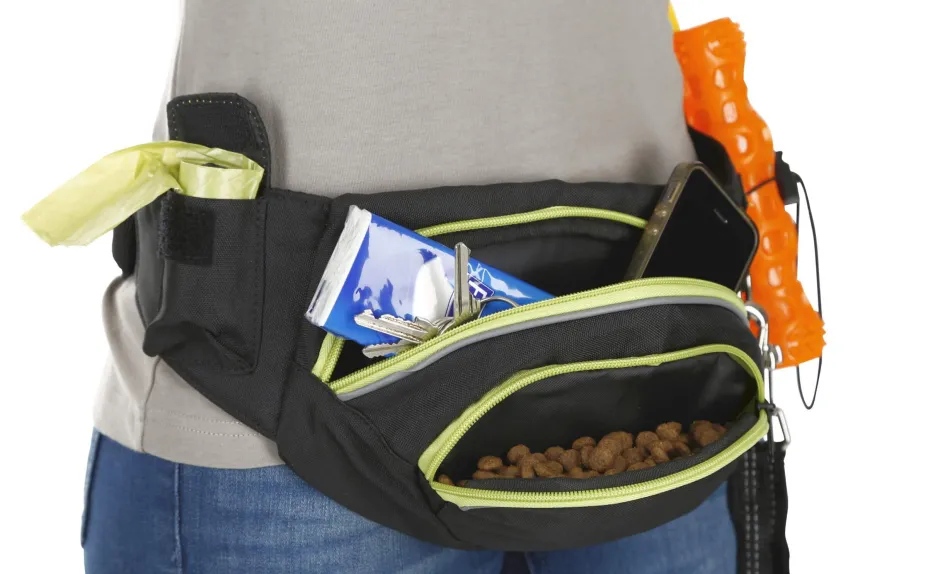 KERBL Trainings-Bauchgurt Active
