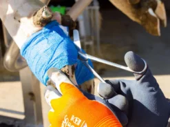 KERBL Klauenbandage Vetlastic