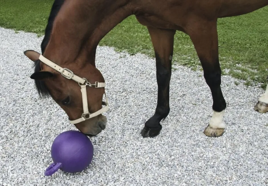 KERBL Pferdespielball