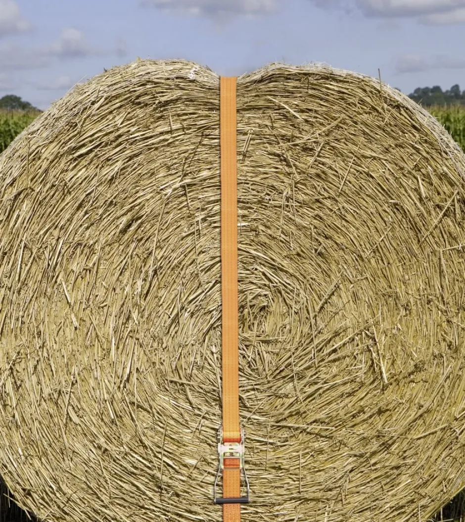 KERBL Ratschen-Zurrgurt