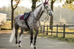 LAMI-CELL Elegance Schabracke