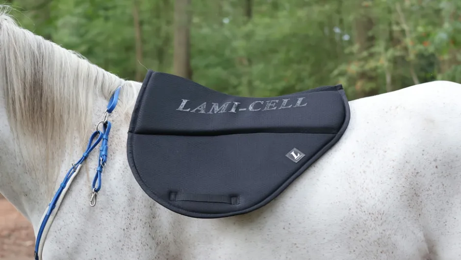 LAMI-CELL - New endurance - Schabracken