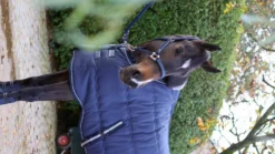 LAMI-CELL Stalldecke - Stable Master