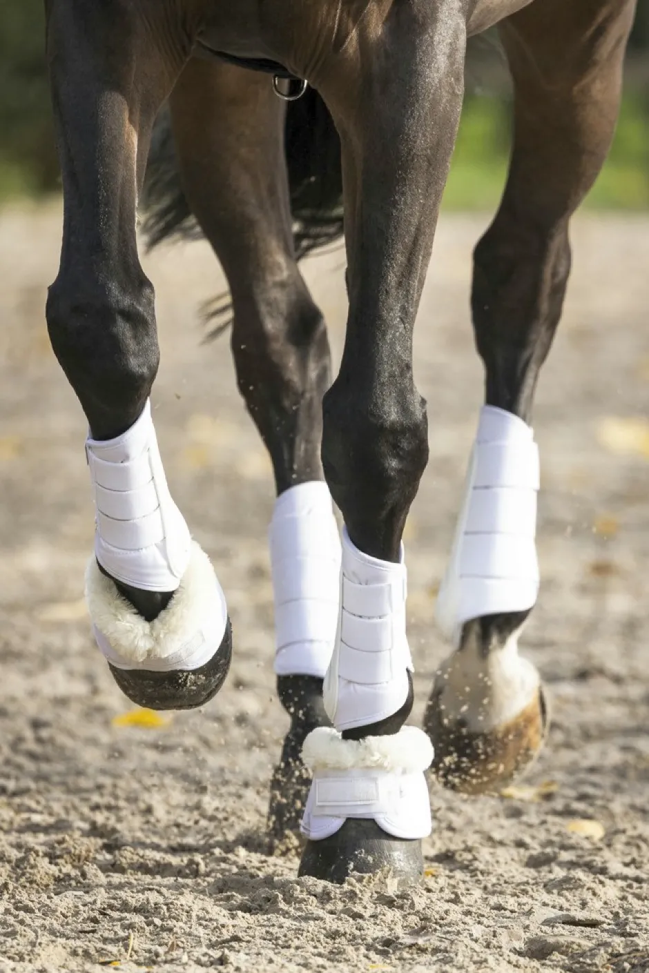 LAMI-CELL V22 Brushing boots geschlossene Gamaschen