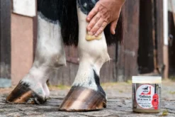 LEOVET Cellsius Gel für Pferde 600 ml Dose, 600 ml Dose