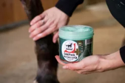 Leovet Cold Pack Apothekers Pferdesalbe