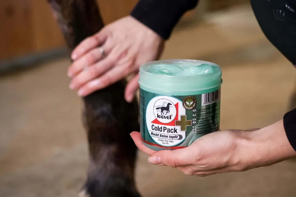 Leovet Cold Pack Apothekers Pferdesalbe