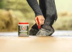 Leovet ELASTIC CREME
