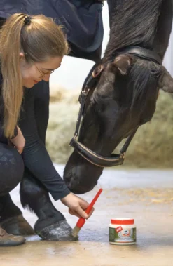 Leovet HOOF BALM Präbiotisch
